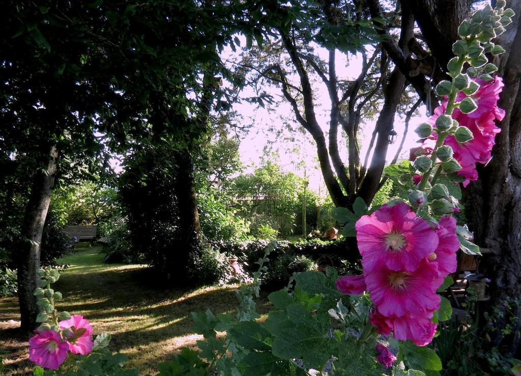 La Claverie Sainte-Radégonde-des-Noyers 외부 사진